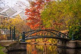 Der garten liegt im zentrum der stadt. Hortus Botanicus Amsterdam Wikipedia