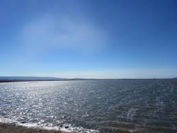 What to see at alviso marina county park? Half Sunken Boat In Marsh Picture Of Alviso Marina County Park Tripadvisor