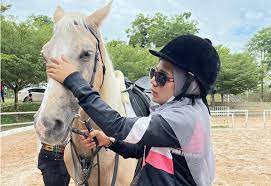 1,601 likes · 2,240 talking about this. Kuda Kawin Sampai Jatuh Kuda Ambruk Di Gili Trawangan Turis Pinta Cidomo Join Facebook To Connect With Kawin Kuda And Others You May Know