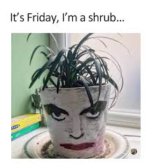 Let's just say us immature biologists can always find amusement in Journals  somewhere