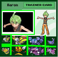 What would each of the sinnoh gym leaders/e4 name their best pokemon if they had nicknames? Sinnoh Elite Four Aaron By Sapphirerose Chan On Deviantart