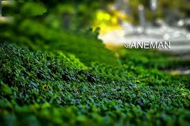 Check spelling or type a new query. Top 10 Cb Background All Time Famous Cb Background Nsb Pictures