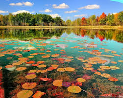 See more ideas about wallpaper, iphone wallpaper, aesthetic wallpapers. Beautiful Hd Nature Wallpapers Latest Wallpapers Desktop Background