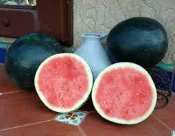 We did not find results for: Black Diamond Watermelon Everything That You Need To Know Ehealthyzone