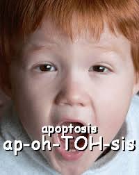 TAPP Radio Ep 16 SCRIPT