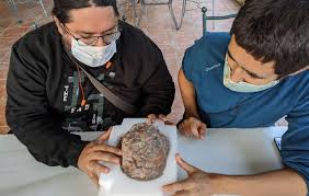 A team of Portuguese paleontologists discovers the eggs of Europe's last  dinosaurs