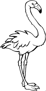Bildergebnis Fur Flamingo Vorlage Malvorlagen Flamingo Zeichnung Flamingo