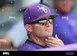 Tigers johnson hi-res stock photography and images