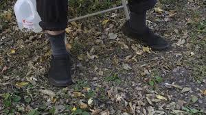 Carleton College Cinema & Media Studies/Academic Civic Engagement Community  Videos