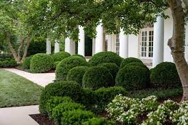 Melania Trump 45 Archived On Twitter Excited To Honor History Celebrate The Future In Our Beautiful Whitehouse Rose Garden This Evening Thank You To All Who Helped Renew This Iconic