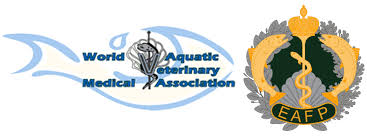 Whether it be one of our interactive elearning courses, or our outstanding acclaimed webinars, we have the right cpd choice for you! Joint Wavma Eafp Webinar Eafp