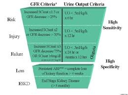 Create your own flashcards or choose from millions created by other students. Year In Review Critical Care 2004 Nephrology Springerlink