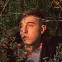 50+ "Siebert" profiles