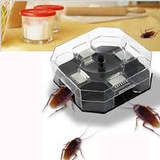 Buktinya islam memperhatikan perkara ini adalah dari sabda rasulullah shalalahu alaihi wasalam. Perangkap Lipas Cicak Dalam Rumah Dan Kenderaan Roach Trapper Perangkap Lipas Ajaib