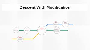 Natural selection results in evolutionary. Descent With Modification By Thomas Chang
