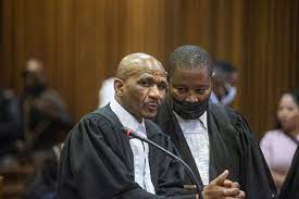 The slings and arrows of advocate Malesela Teffo's outrageous fortunes –  The Mail & Guardian