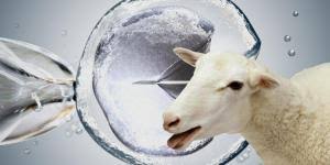 In different cultures and mythologies, these animals represent different things; What Animal Am I According To My Zodiac Sign Astrological Animals