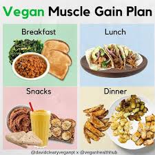 Vegan Ketogenic Diet 21 Day Vegan Keto Diet Plan In 2020 Vegan Meal Plans Vegan Meal Plan Weekly Muscle Gain Meal Plan