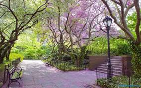 You could download the wallpaper as well as use it for your desktop pc. Spring Scenery Wallpapers Group Data Src Img 59325 1080p Natural Scenery Hd 1366x768 Wallpaper Teahub Io