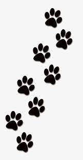 Creative Paw Prints Paw Clipart Animal Paw Prints Paw Png Transparent Clipart Image And Psd File For Free Download Tattoos De Patinha Pegadas De Animais Tatuagem De Patinhas