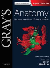 Gray S Anatomy The Anatomical Basis Of Clinical Practice 41st Edition Pdf Anatomy Coloring Book Greys Anatomy Book Anatomy