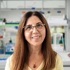 Georg-Speyer-Haus: Our Team