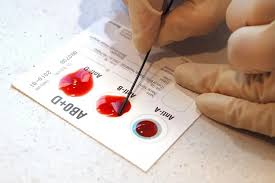Image result for Blood Type
