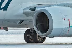 Alaska Airlines Jet Kills Brown Bear At Yakutat S Airport Alaska Public Media