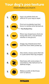 Dog Poo Chart What Each Stage Means Petbarn