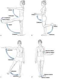Check spelling or type a new query. Muscles Movement Analysis And Mat Work Pilates Anatomy