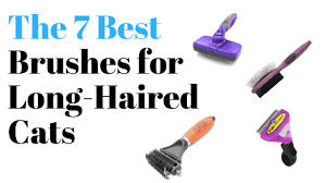 Peanut's hand gloves grooming & deshedding aid. 7 Best Brushes For Long Haired Cats Persian Cat Corner