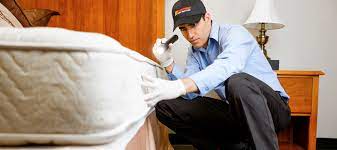 The british pest control association (bpca) hosts these free events so everyone interested in pest management can learn, share and connect. Bed Bug Treatment Get Rid Of Bed Bugs In Your Home With Western Pest