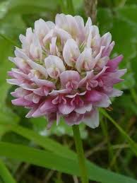 Pin On Nature