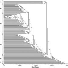 Image result for Panicum habrothrix