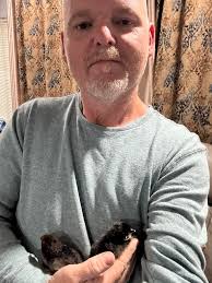 Any tips for raising chickens in the Mohave Desert heat?