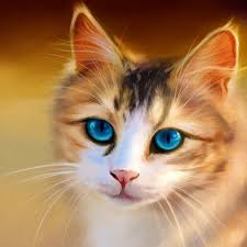 We have a massive amount of desktop and mobile backgrounds. Amazon Com Cat Wallpaper Cute Cats And Kittens Appstore For Android
