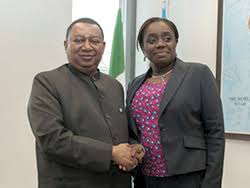 The finance minister's directs the nigerian ministry of finance and ensures that it operates in a transparent, accountable and efficient manner to bolster the country's economic development priorities. Opec Opec Secretary General Receives Nigerian Minister Of Finance He Kemi Adeosun
