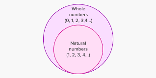 what are whole numbers definition facts example