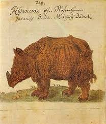 Die darstellung wurde zu einer ikone der frühen naturalistischen darstellungsweise und inspirierte viele künstler bis heute. Rhinocerus Wikipedia
