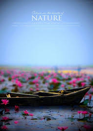 Nature Boat Manipulation Editing Background Hd 3881x5389 Image Free Dowwnload You can use these background in any type of your.