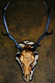 Um Want Antlers Decor Deer Skulls Skull Art