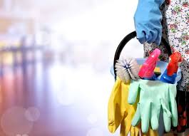 5 simple ways to maintain your kitchen after pest control. Cleaning Services In Faridabad Gurugram Gurgaon New Delhi Noida Greater Noida Ghaziabad Indirapuram Bengaluru Bangalore Mumbai Bombay Pune Hyderabad Jaipur Chandigarh Secunderabad