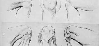 In this lesson, you will learn more about the infraspinatus, teres minor, teres major muscles and serratus. Male Body Drawing References And Sketches For Artists