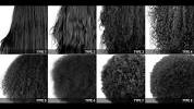 Natural Ethnic Hair