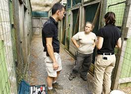 Hôtels proches de la moulin de la bruère. Une Saison Au Zoo Promu En Prime Time Pour Sa Rentree Sur France 4 Toutelatele