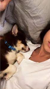 pin by gaspgay on piper selfie poses instagram girl and dog dog tumblr