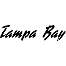 The tampa bay lightning logo has white and tampa bay blue colors with lightning and circle objects. Tampa Bay Lightning Wordmark Logo Sports Logo History