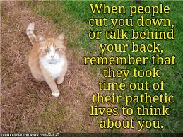 These sneaky bois will creep up on you while not looking and make you lol but not really. Lolcats Pathetic Lol At Funny Cat Memes Funny Cat Pictures With Words On Them Lol Cat Memes Funny Cats Funny Cat Pictures With Words On