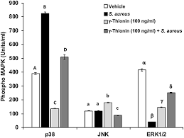 Tha dramaboy — outro 04:16. Frontiers Plant Defensin G Thionin Induces Mapks And Activates Histone Deacetylases In Bovine Mammary Epithelial Cells Infected With Staphylococcus Aureus Veterinary Science