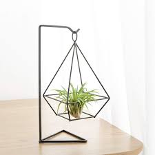 Affiliatelink Mkouo Hangende Metall Tillandsia Air Pflanze Luftpflanzen Deko Rackhalter Mit Stander Blumentopf S Pflanzenhalter Luftpflanzen Pflanzenschaukel